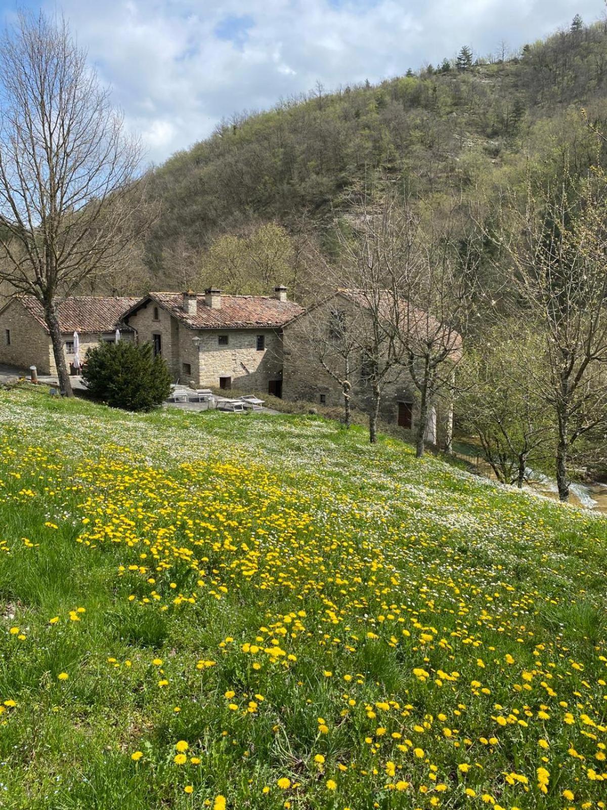 مارادي Borgo Corniola B&B Naturista المظهر الخارجي الصورة